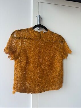 Zara Mustard Lace Short-Sleeve Blouse